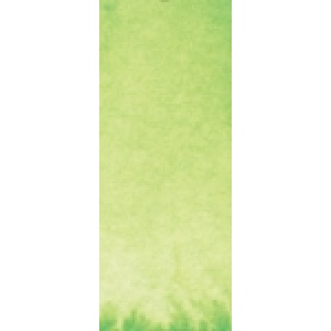 Daniel Smith Phthalo yellow green