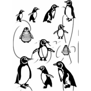 Card-io Cute Penguins A7
