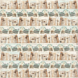 Reprint - The Bookshop - Book Shelf