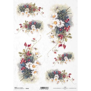 ITD Collection A4 - R1101