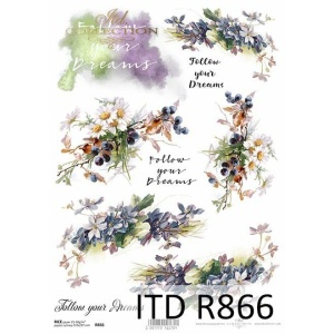 ITD Collection A4 - R0866