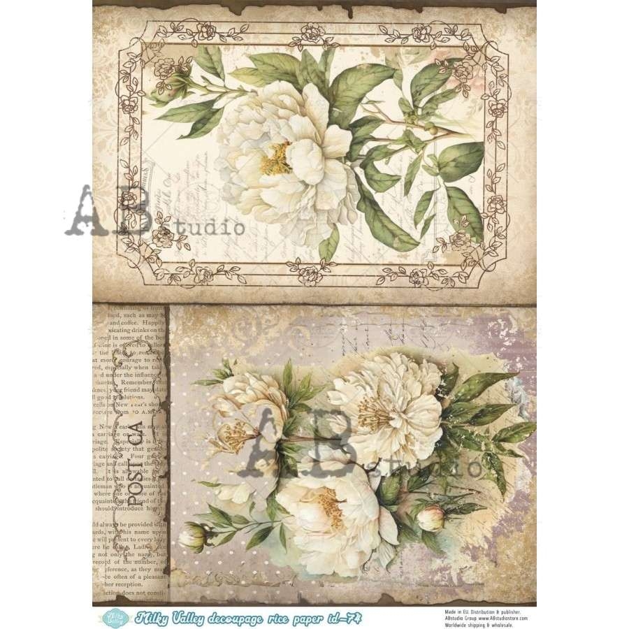 ABstudio Rispapir A4 74 - Bilde 1