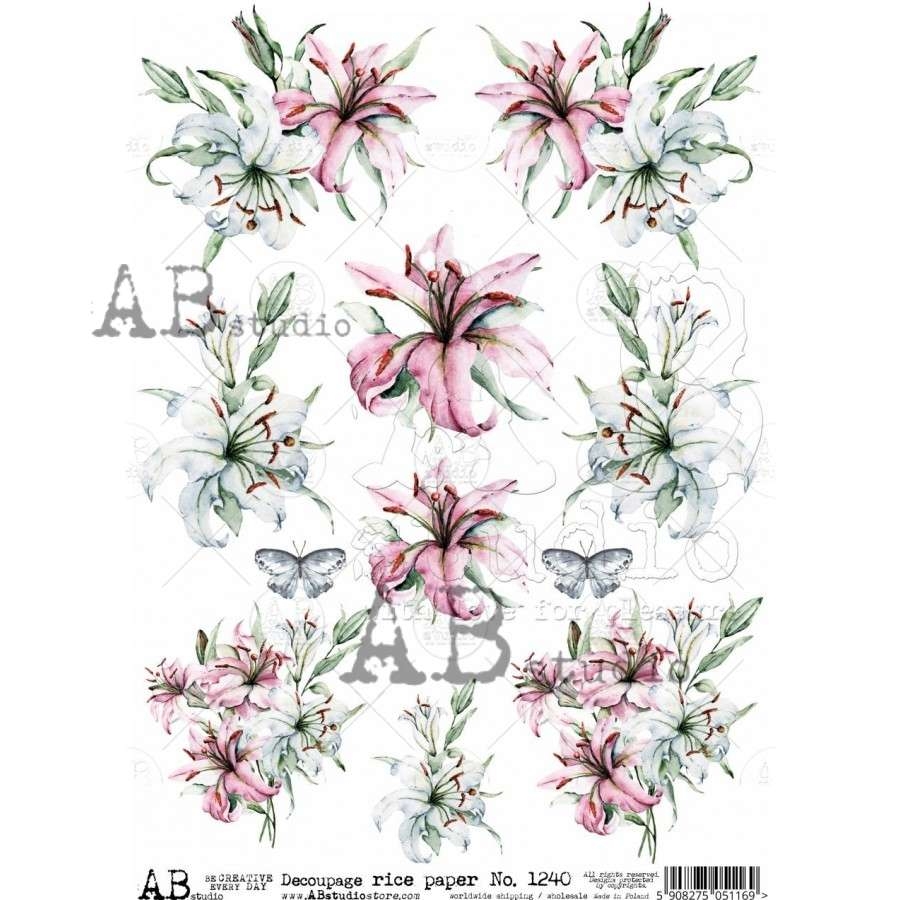 ABstudio Rispapir A4 1240 - Bilde 1