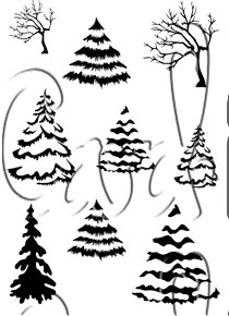 Card-io Winter Woods  A7