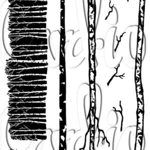 Card-io White Woods  A6 - Bilde 1
