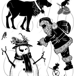 Card-io Surprise Visit  A6 - Bilde 1