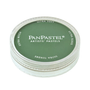 Panpastel 640,3 Permanent Green Shade - Bilde 1