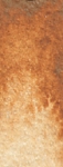 10118.jpg Daniel Smith Raw sienna