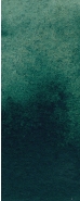 10194.jpg Daniel Smith Deep sap green
