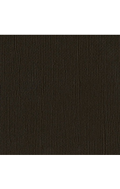 10554.jpg Bazzill Java