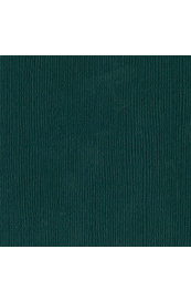 10583.jpg Bazzill Jade