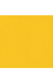 10589.jpg Bazzill Classic Yellow