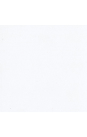 10590.jpg Bazzill Coconut Swirl