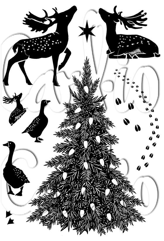 10903.jpg Card-io Evergreen Encounter A6