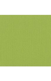 11343.jpg Bazzill Parakeet