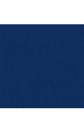 11345.jpg Bazzill Arctic