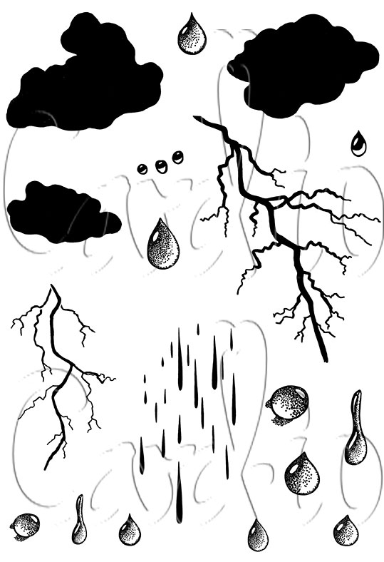 Card-io Wet Weather A6