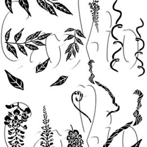 Card-io Wisteria A7 - Bilde 2