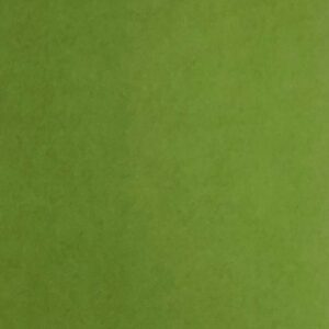 Reprint kartong - Moss - Bilde 2