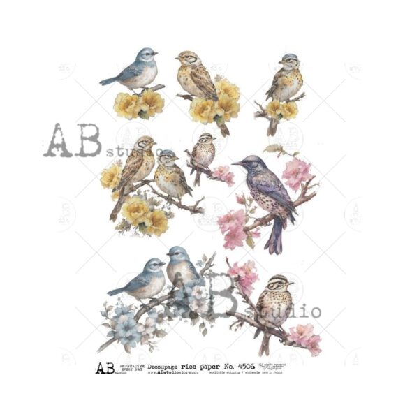 12317.jpg ABstudio Rispapir A4 No.4506