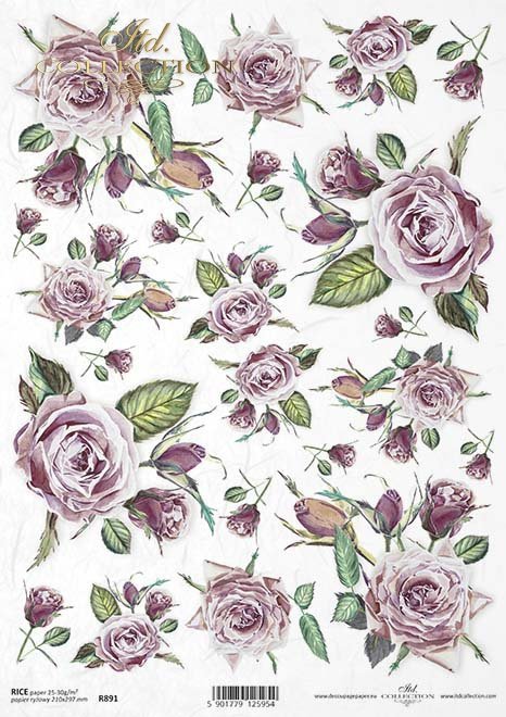 ITD Collection A4 - R0891