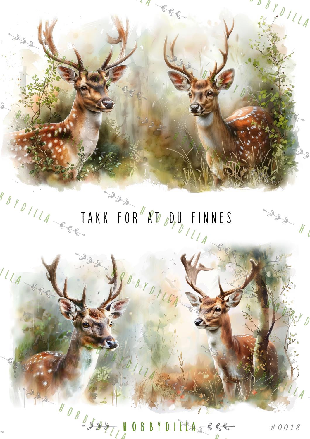 Motivark A4 0018 M - Bilde 1