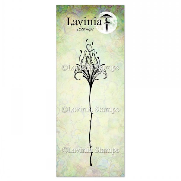 12931.jpg Lavinia Flower Divine 2 LAV902