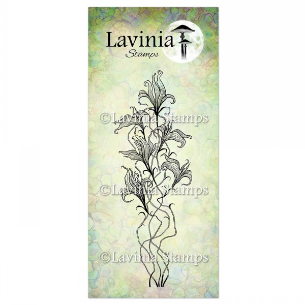 Lavinia Twilight Lily  LAV905