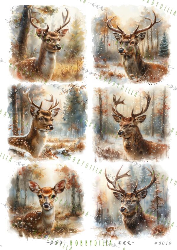 12937.jpg Motivark A4 0019 M