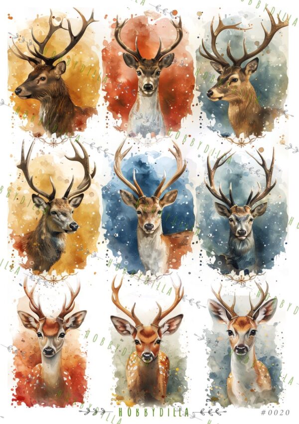 12938.jpg Motivark A4 0020 M