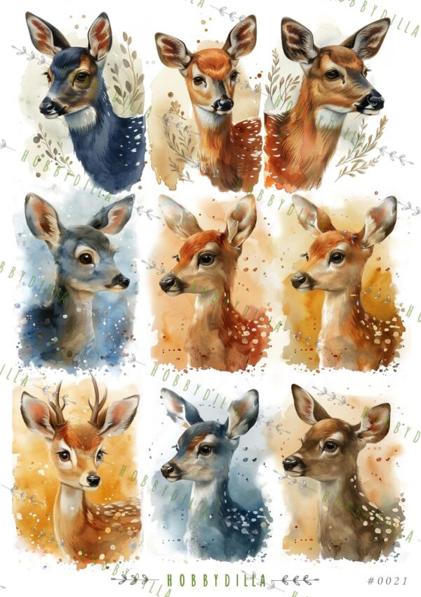 12939.jpg Motivark A4 0021 M