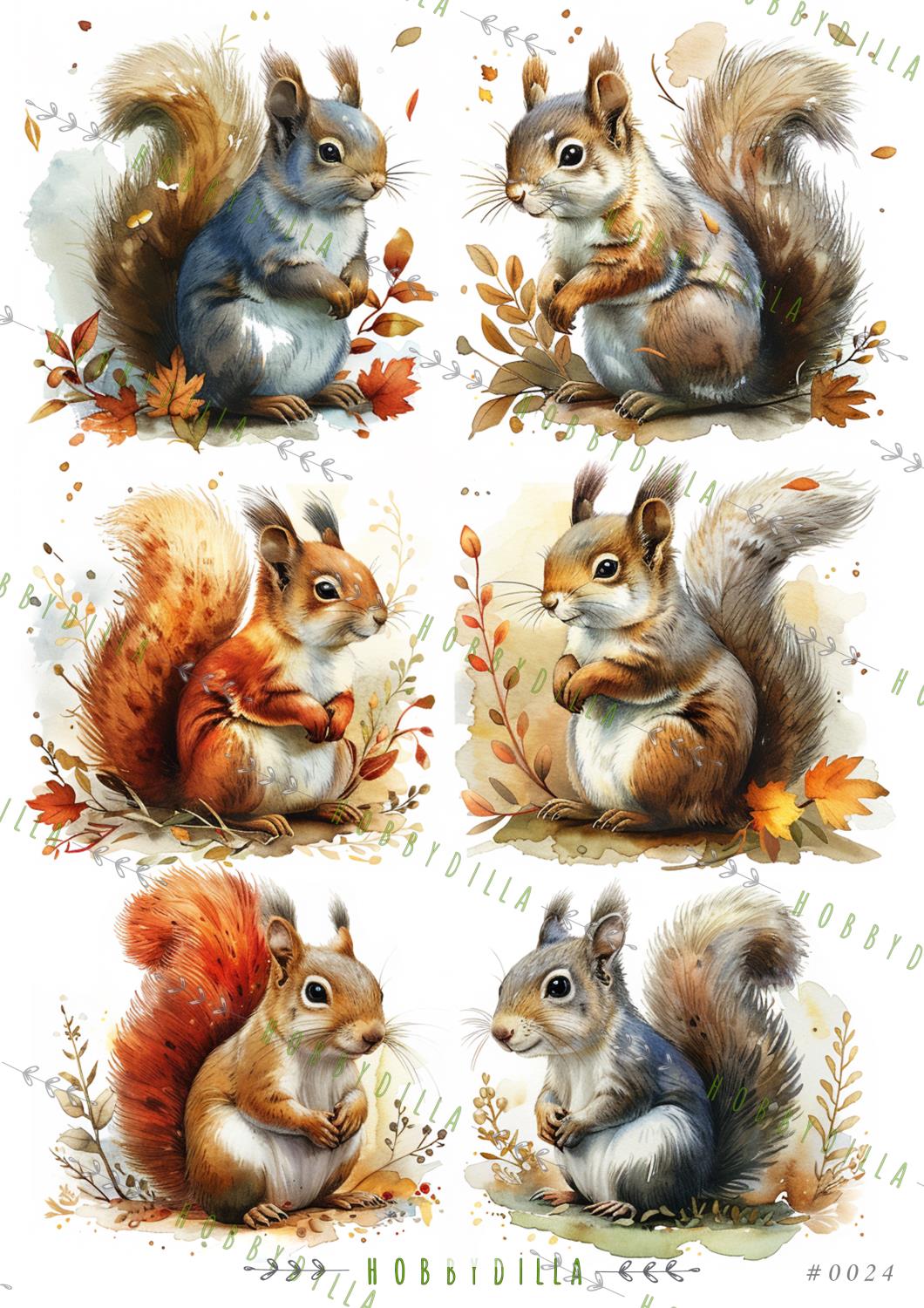 Rispapir A4 0024 - Bilde 1