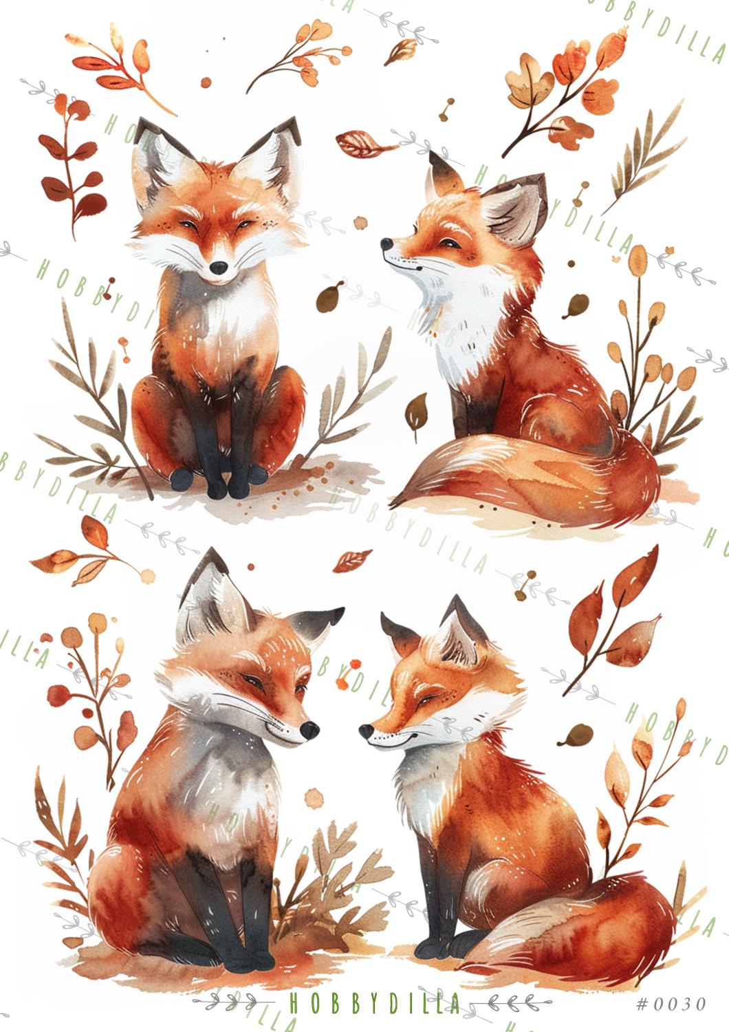 Rispapir A4 0030 - Bilde 1