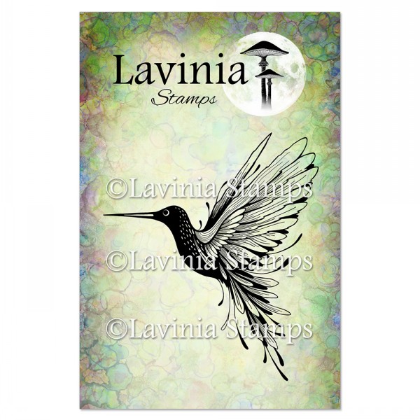 13019.jpg Lavinia Hummingbird Stor LAV895