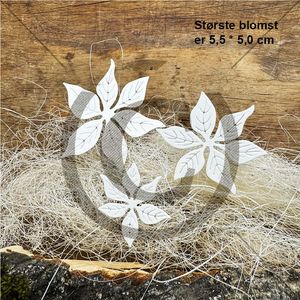 13562.jpg Papirdesign Julestjerner 3 Dies