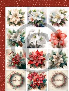 Papirdesign Motivark-Juleblomster