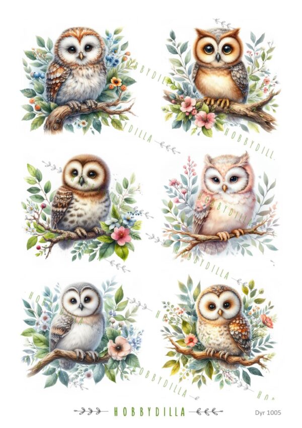 Motivark Dyr 1005 M Ugler