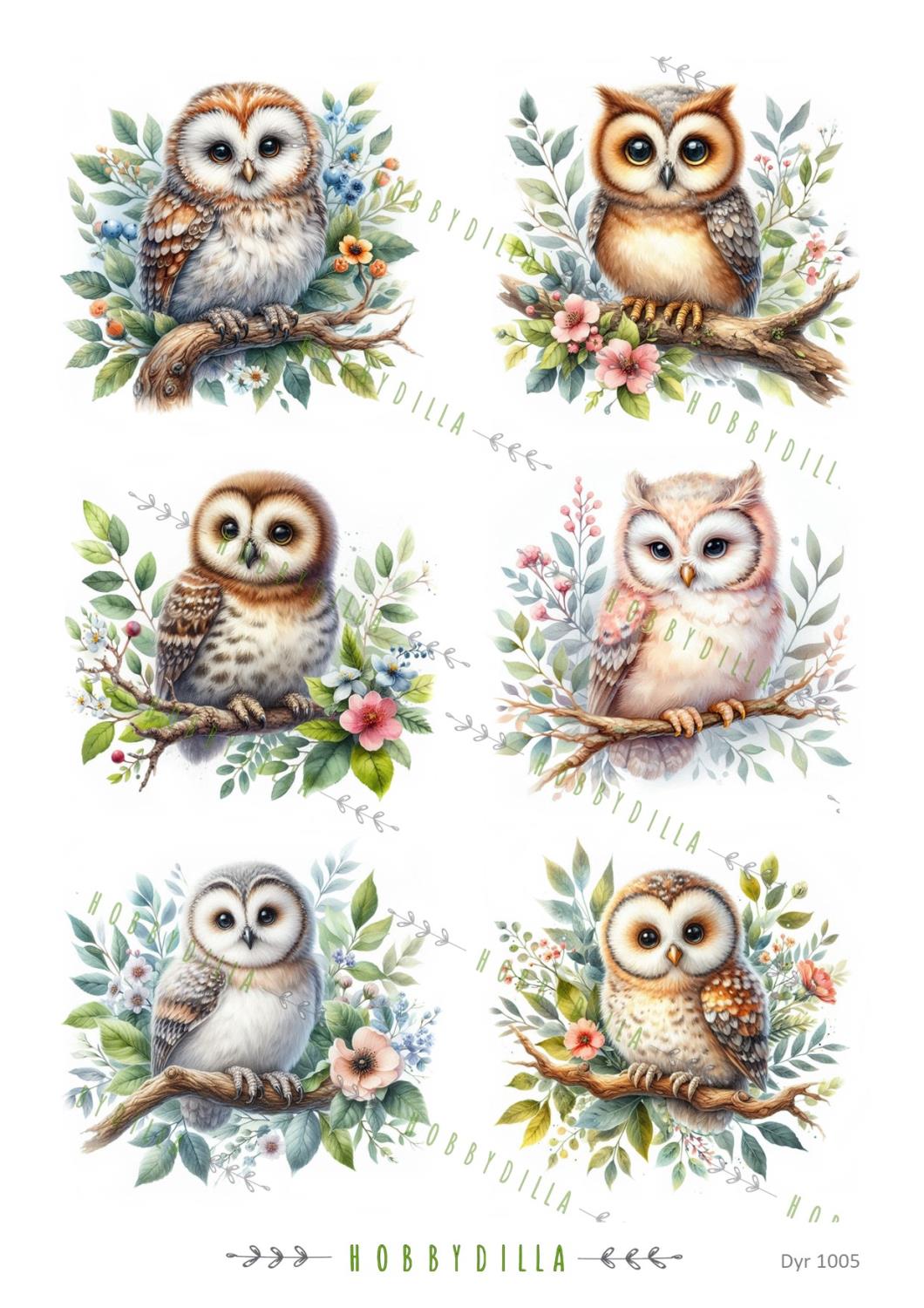 Motivark Dyr 1005 M Ugler - Bilde 1