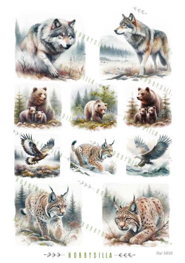 14360.jpg Motivark Dyr 1010 Norske rovdyr M