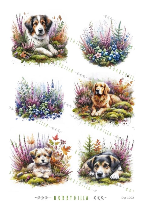 14361.jpg Motivark Dyr 1002 Hunder i lyngen M