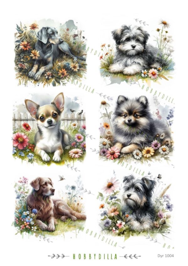 14362.jpg Motivark Dyr 1004 Hunder M