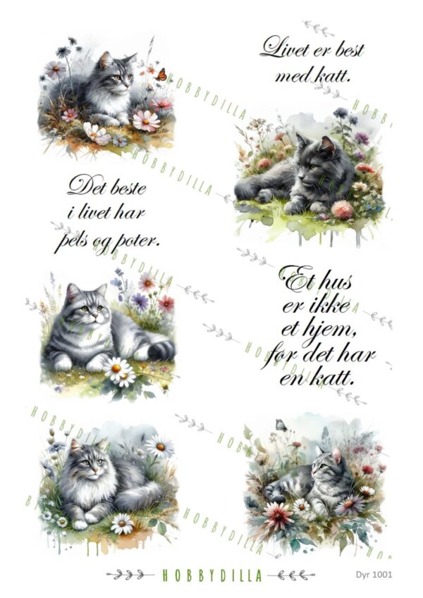 14368.jpg Motivark Dyr 1001 Best med katt M