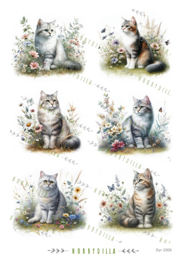 14369.jpg Motivark Dyr 1006 Katter M