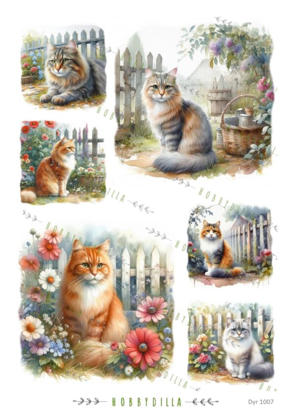 14370.jpg Motivark Dyr 1007 Katter i hagen M