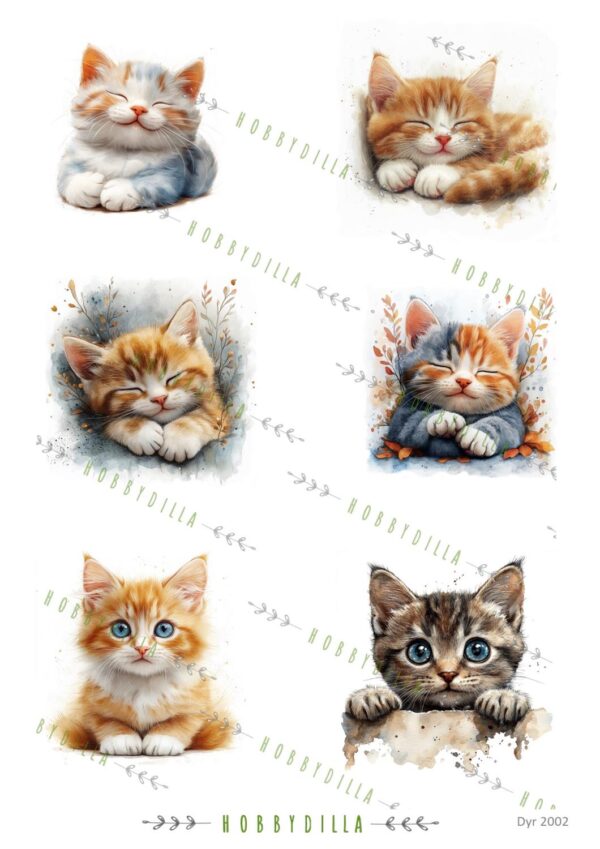 Motivark Dyr 2002 M Katter 2