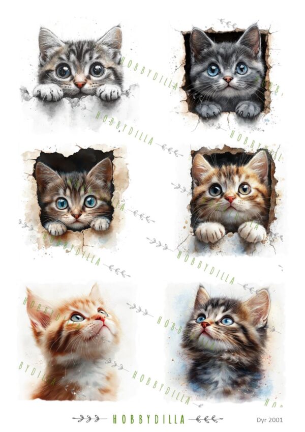 Motivark Dyr 2001 M Katter