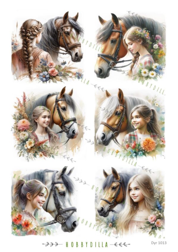 Motivark Dyr 1013 M Hestejenter