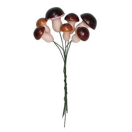 14754.jpg Steinsopp 7 stk.