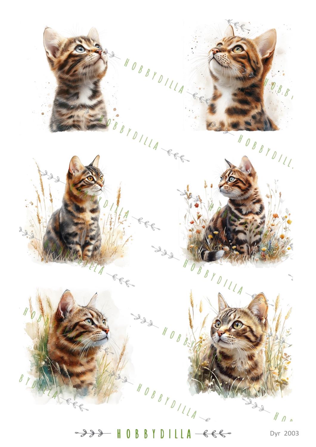 Motivark Dyr 2003 M Katter 3 - Bilde 1