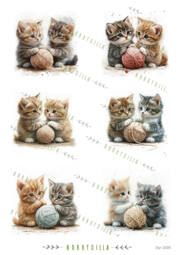 Motivark Dyr 2005 M Katter 4